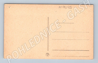 Pohlednice Antonín Dvořák portrét stará (M9093)