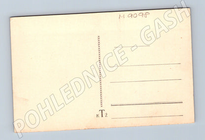 Pohlednice Bedřich Smetana portrét starobylá (M9098)