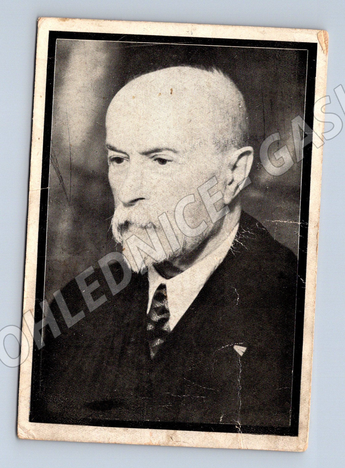 Pohlednice T G Masaryk prezident Osvoboditel (M9119)