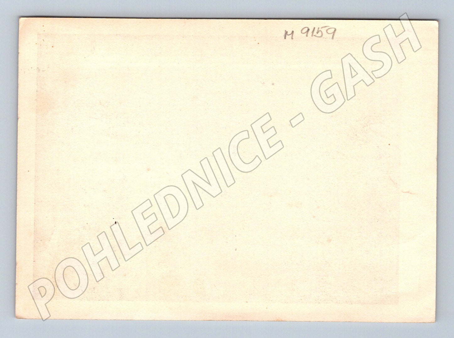 Postcard portrait of a man in a suit, black and white (M9159)