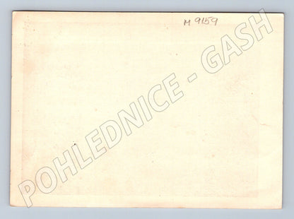 Postcard portrait of a man in a suit, black and white (M9159)