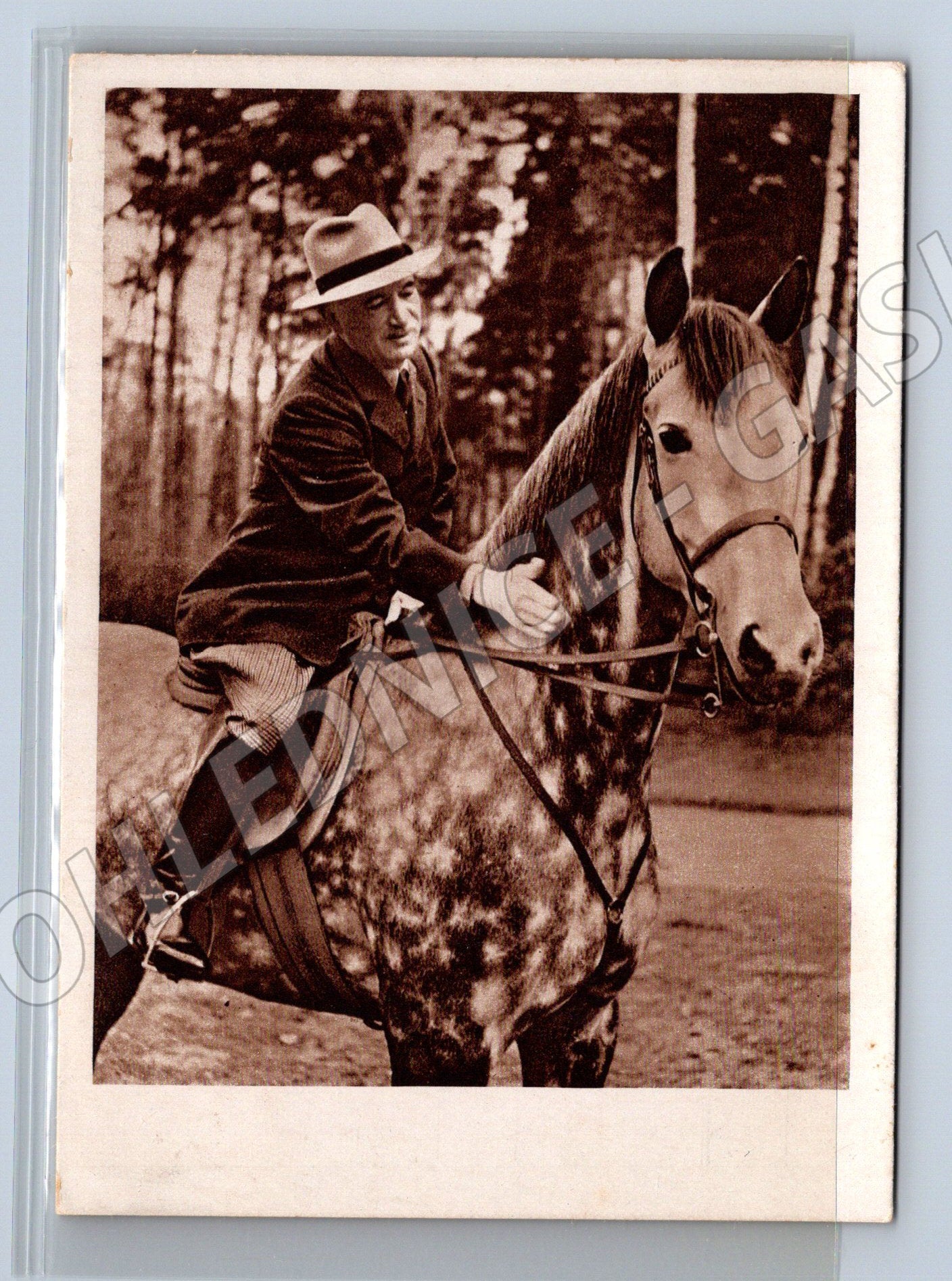 Pohlednice Dr Edvard Beneš na koni 1948 (M9160)