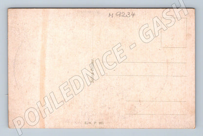Pohlednice Napoleon Bonaparte Salon Intime (M9234)