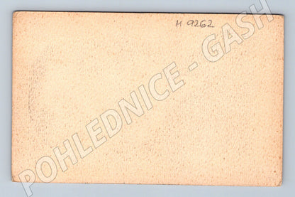 Pohlednice Woodrow Wilson kreslený portrét (M9262)