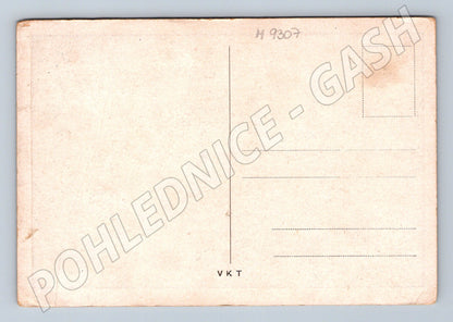 Postcard František Palacký portrait, old (M9307)