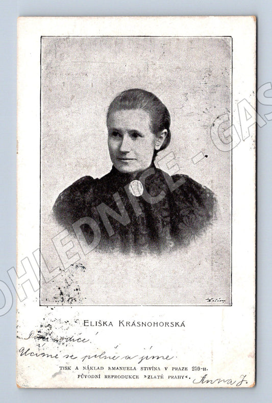 Pohlednice Eliška Krásnohorská odeslaná 1904 (M9336)