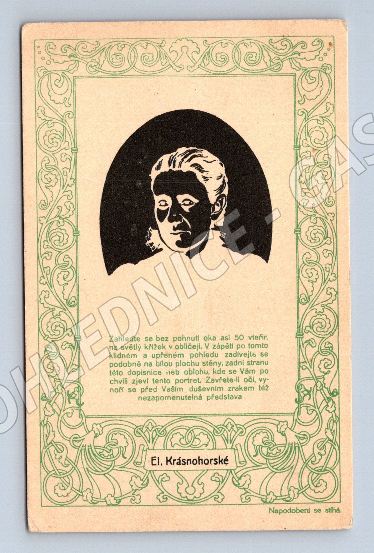 Pohlednice Eliška Krásnohorská spisovatelka originál (M9349)