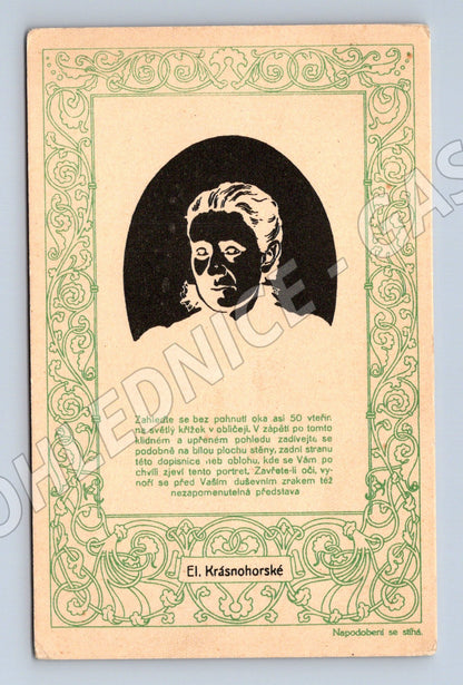 Pohlednice Eliška Krásnohorská spisovatelka originál (M9349)
