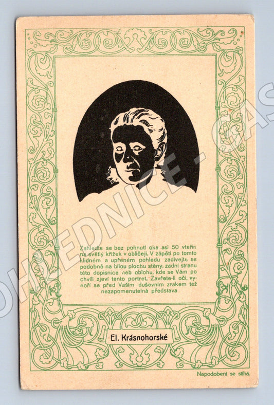 Pohlednice Eliška Krásnohorská spisovatelka originál (M9349)