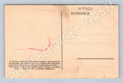 Postcard Eliška Krásnohorská, historical writer (M9360)