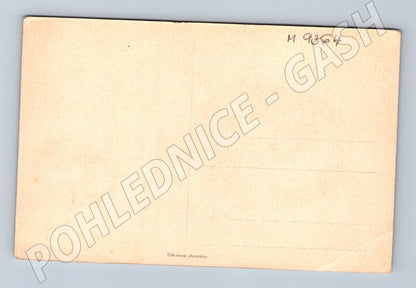 Postcard Božena Němcová portrait, old (M9364)
