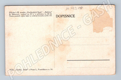 Postcard Božena Němcová portrait of a seventeen-year-old (M9388)