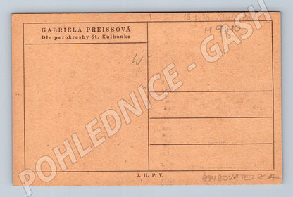 Postcard Gabriela Preissová line drawing Kulhánek (M9410)