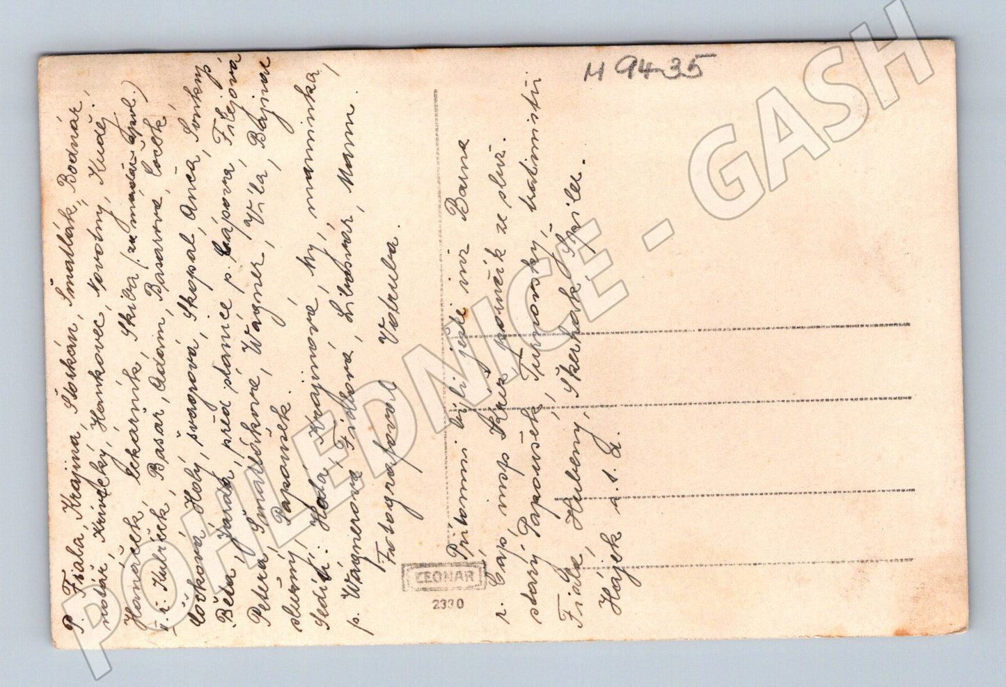 Postcard Rohov 1925 group photo (M9435)