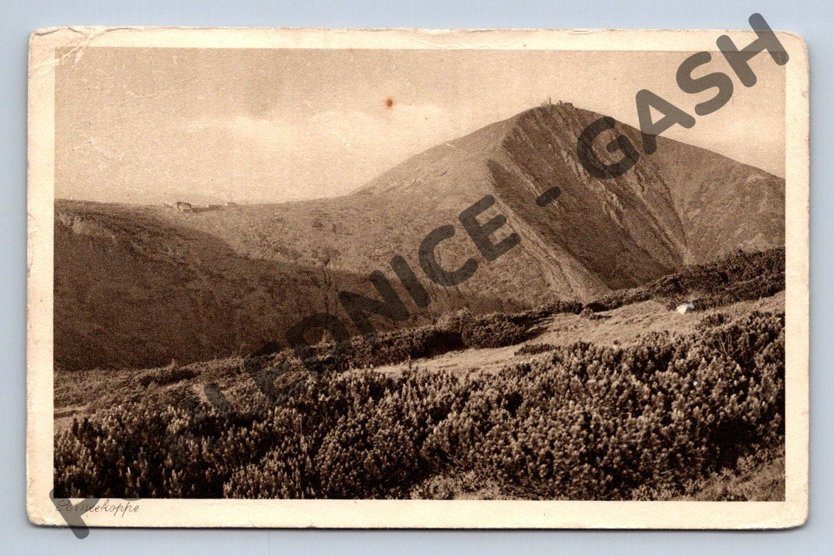 Pohlednice Sněžka Krkonoše (M946)