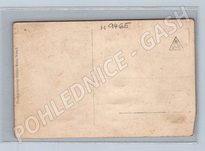 Pohlednice Herzogin von Hohenberg s dětmi (M9465)