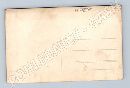 Postcard woman with white poodle photo b/w (M9508)