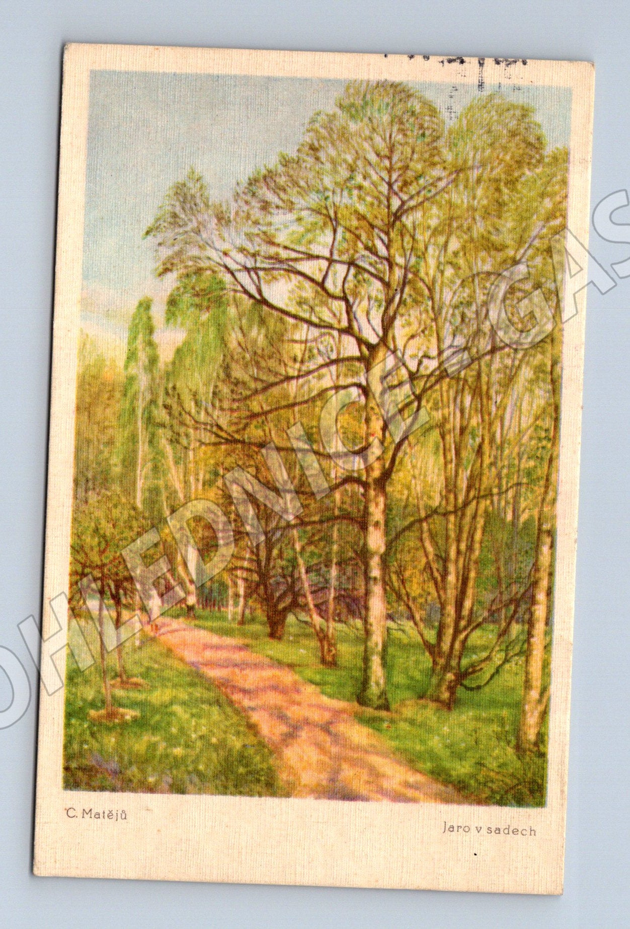 Postcard Spring in the Orchards painting 1931 (M9527)
