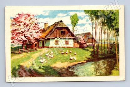 Pohlednice česká chalupa a husy 1943 (M9553)