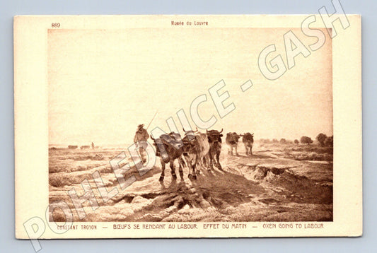 Postcard of oxen at work according to Troyon (M9557)