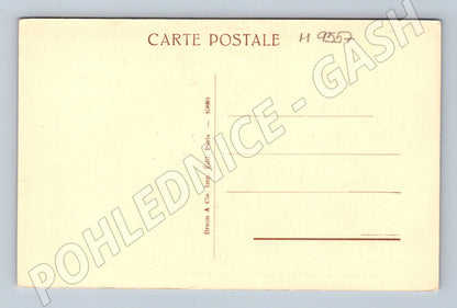 Pohlednice voly na práci dle Troyon (M9557)