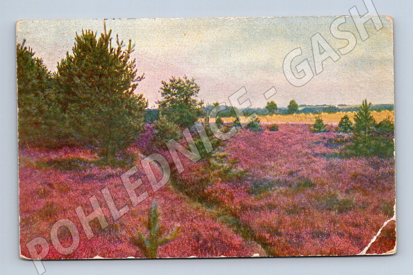 Postcard Czech landscape colored 1914 (M9561)