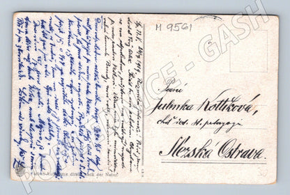 Postcard Czech landscape colored 1914 (M9561)