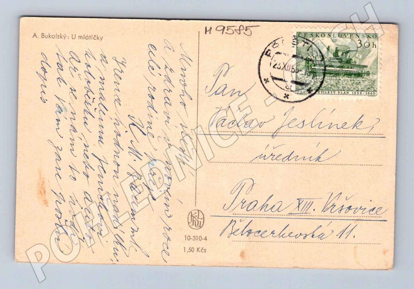 Pohlednice U mlátičky A Bukolský 1955 (M9585)