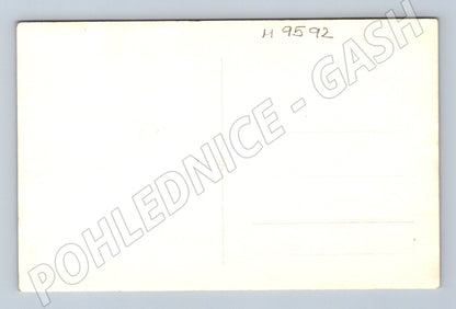 Postcard Josef Šeřínek Greindl Hagen (M9592)
