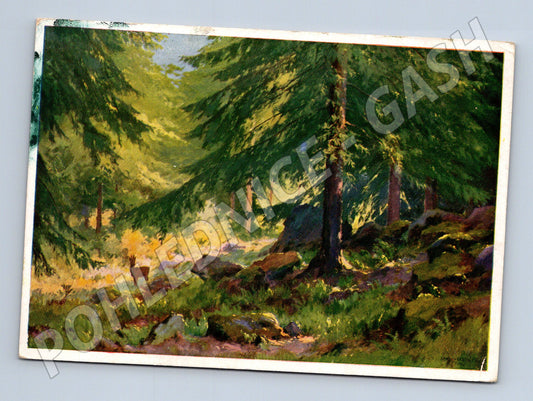 Postcard painted forest with a doe (M9619)