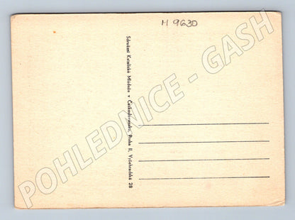 Postcard Garden of Gethsemane religious motif (M9630)