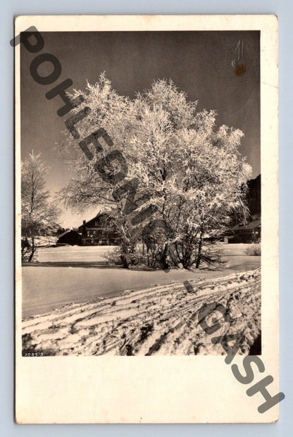 Pohlednice Zimní krajina Německo (M964)