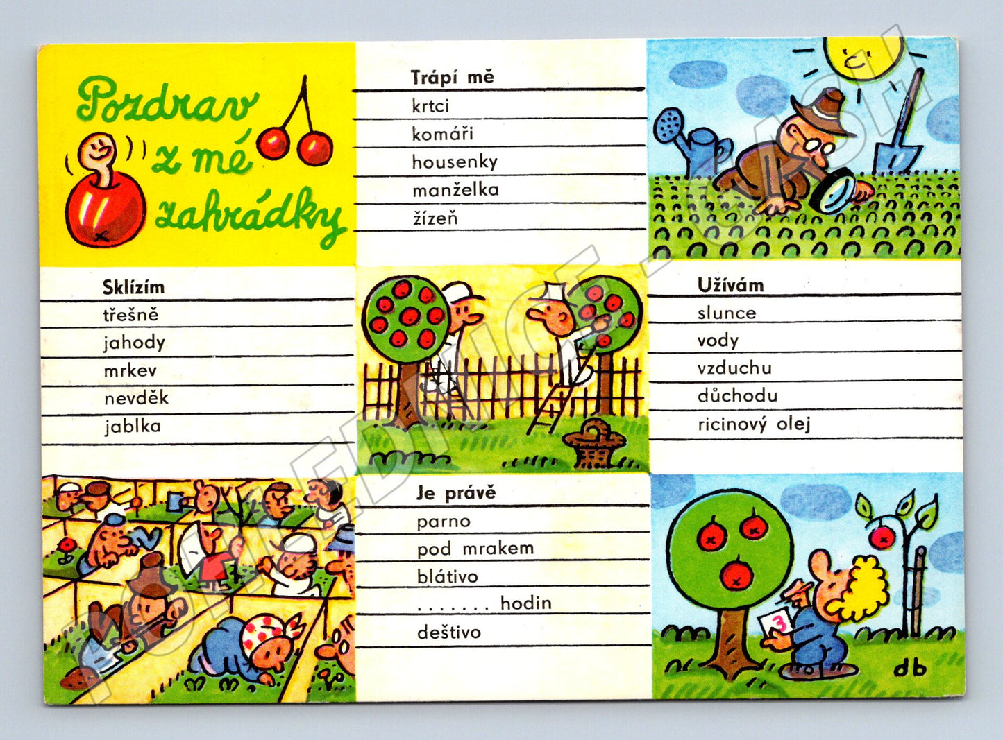 Postcard Greetings from my garden No wedding (M9643)
