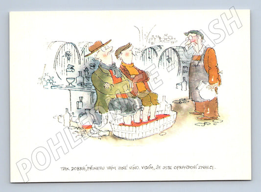 Postcard Renčín wine cellar 1984 (M9648)