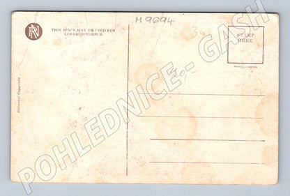 Postcard USA humorous children 1910 (M9694)