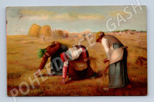 Postcard of a woman in a field collecting grain (M9772)