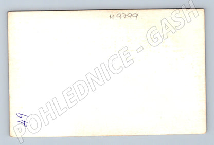 Pohlednice žánrový portrét ženy retro (M9799)