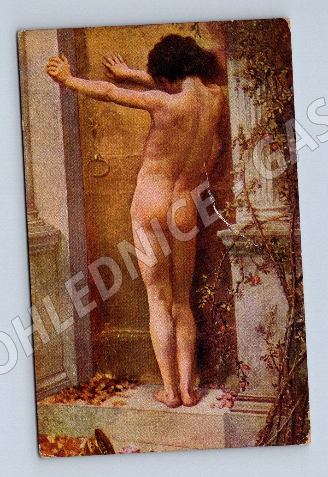 Postcard Merrit Love Attacks Plichta (M9801)