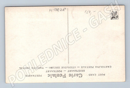 Postcard Comerre Le Repos du Modèle nude (M9828)