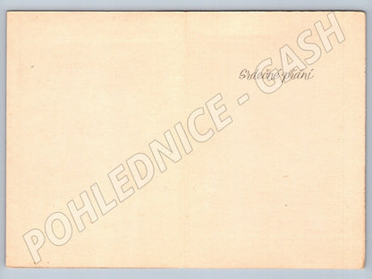 Postcard Boukal rural interior cradle (M9839)