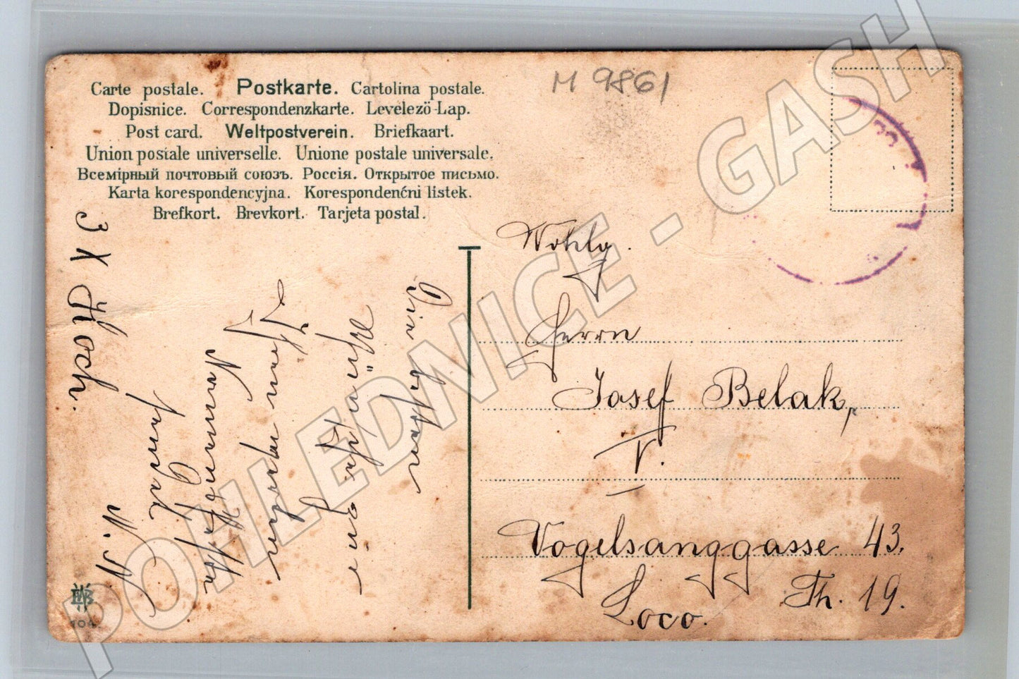 Pohlednice kočky a koťata ilustrovaná (M9861)