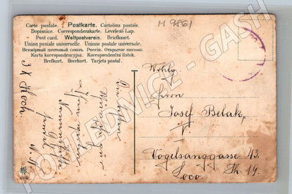 Pohlednice kočky a koťata ilustrovaná (M9861)