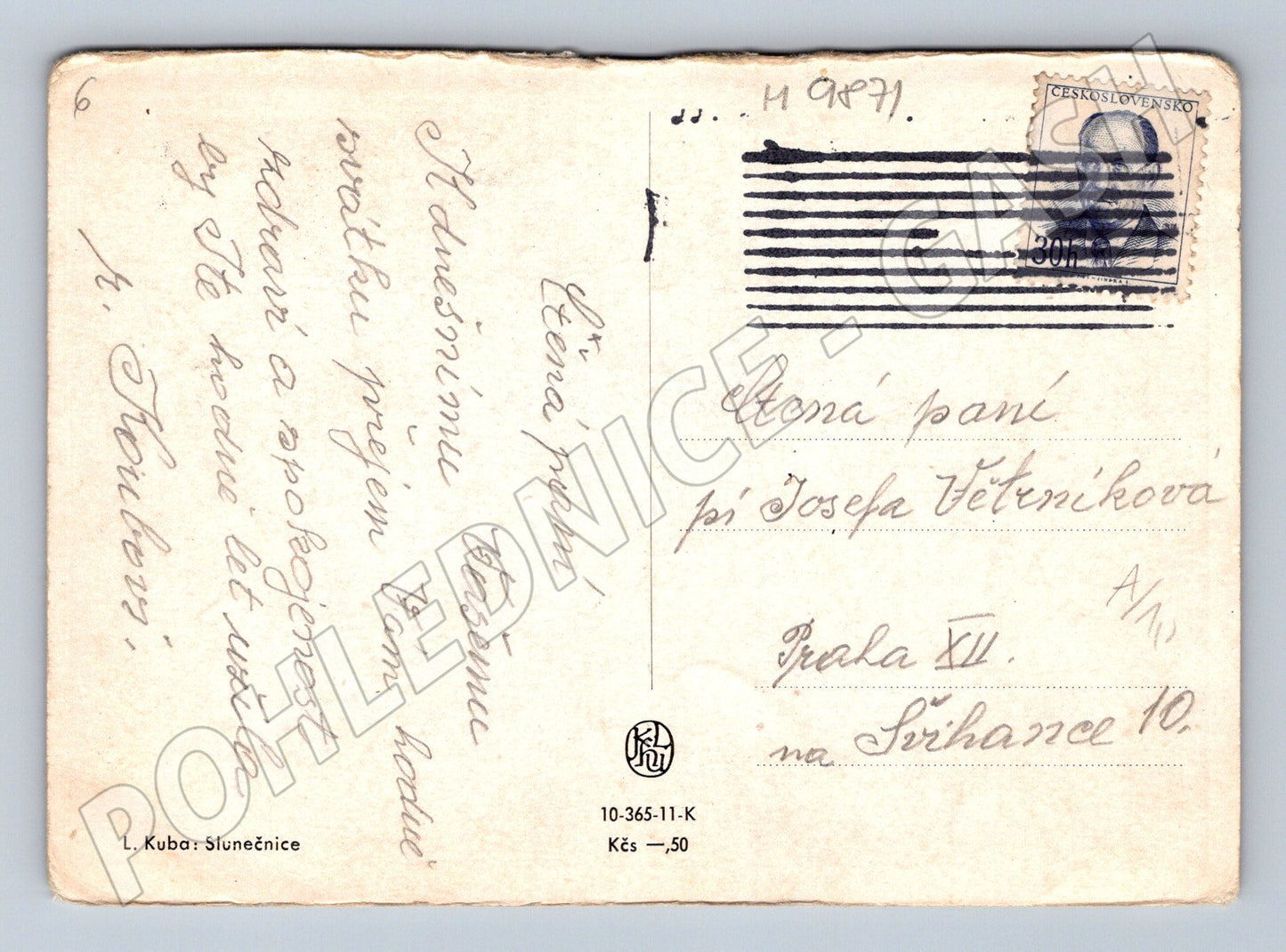 Pohlednice L. Kuba Slunečnice 1947 (M9871)