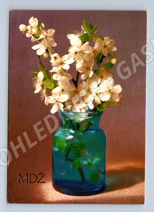 Pohlednice MDŽ jarní květy ve váze (M9878)