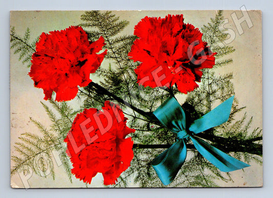 Pohlednice ČSSR karafiáty Vítězný únor (M9883)