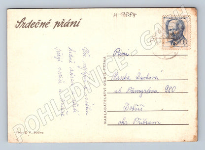 Postcard Czechoslovakia bouquet with blue ribbon (M9884)