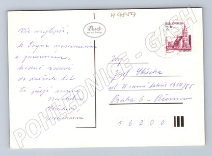 Pohlednice ČR Vše nejlepší květiny (M9889)