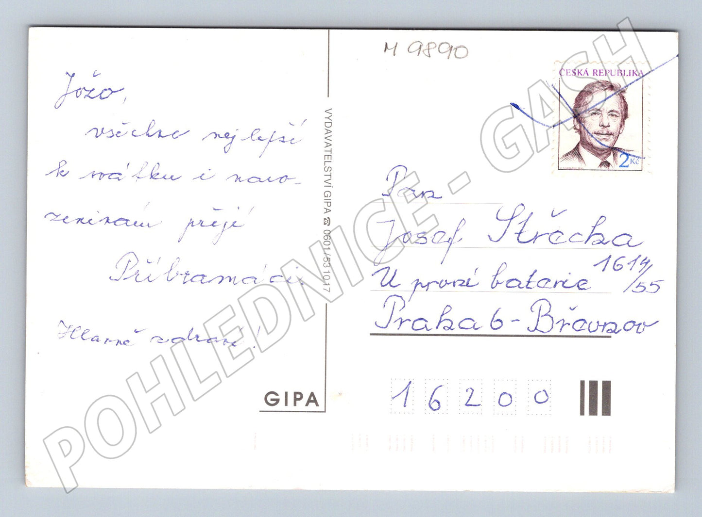 Postcard flowers large format Czech Republic GIPA (M9890)