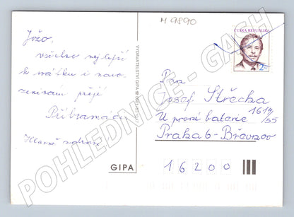 Postcard flowers large format Czech Republic GIPA (M9890)