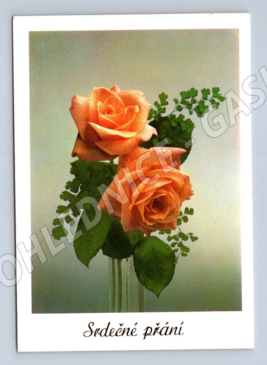 Pohlednice růže se srdečným přáním 1993 (M9892)